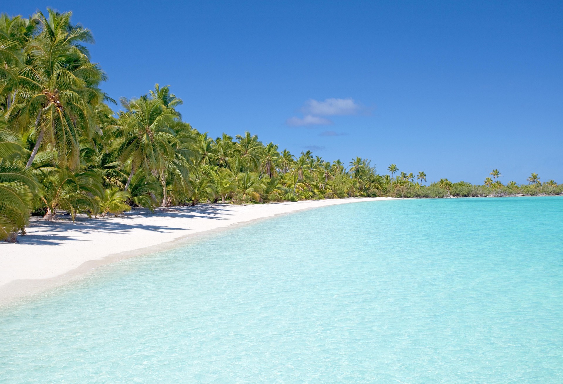 Tropisch eiland met wit zandstrand en turquoise zee